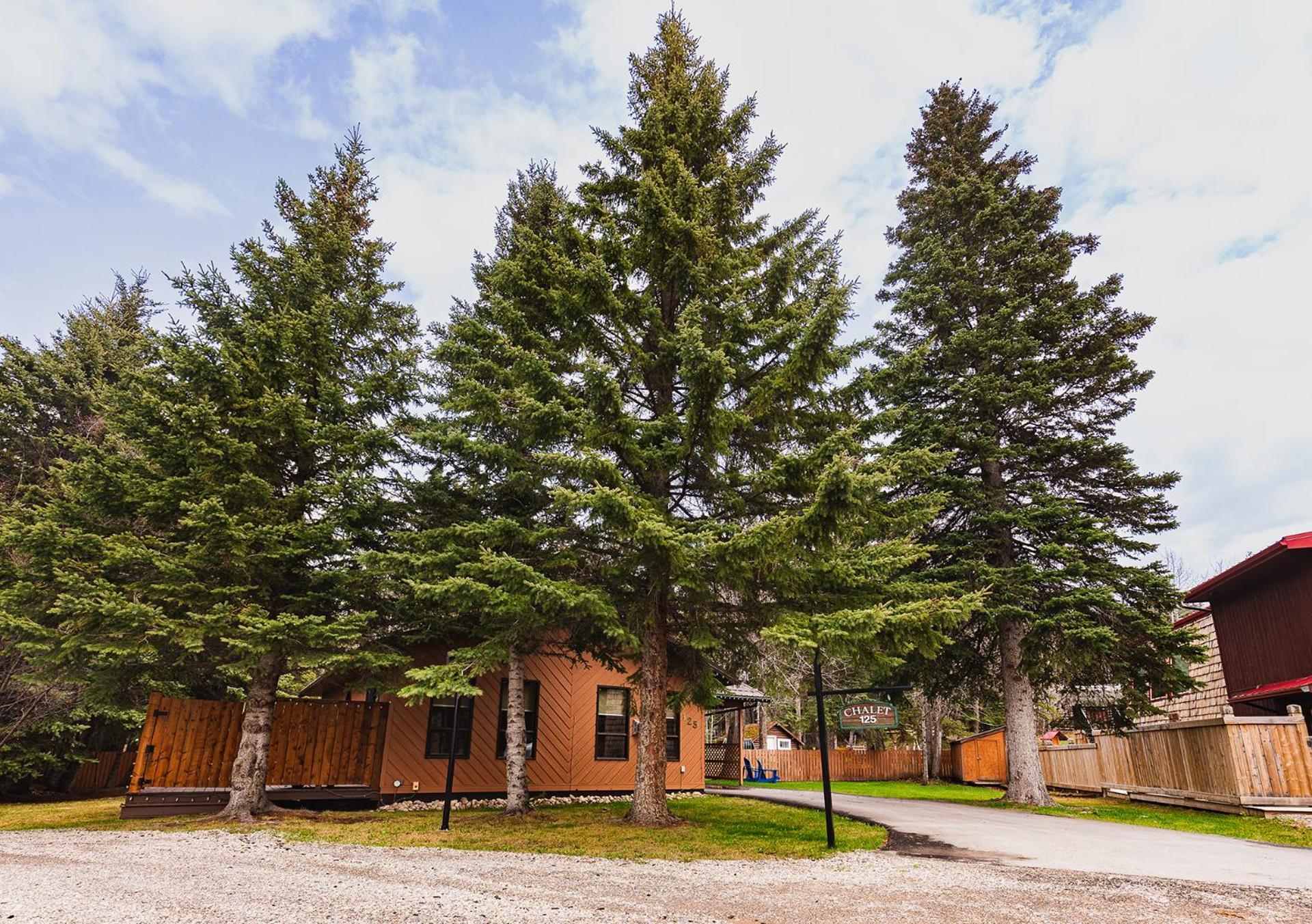 ג'ספר Overlander Mountain Lodge מראה חיצוני תמונה